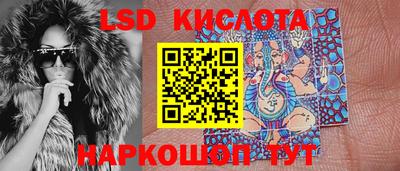 крисы Вязьма