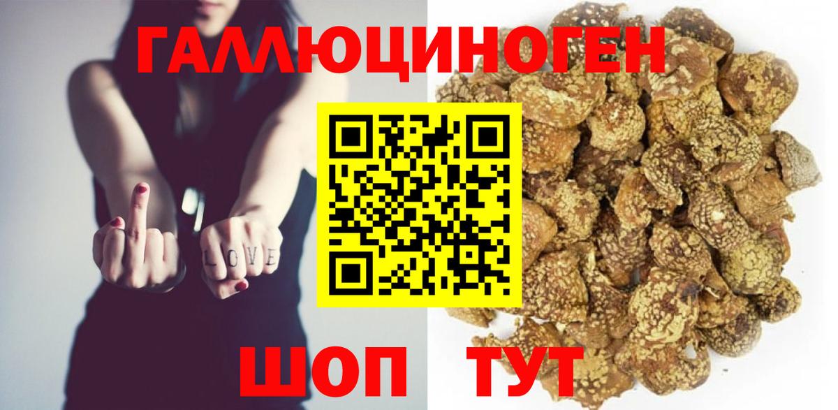 Гагарин  Псилоцибиновые грибы Cubensis  Вход с VPN 